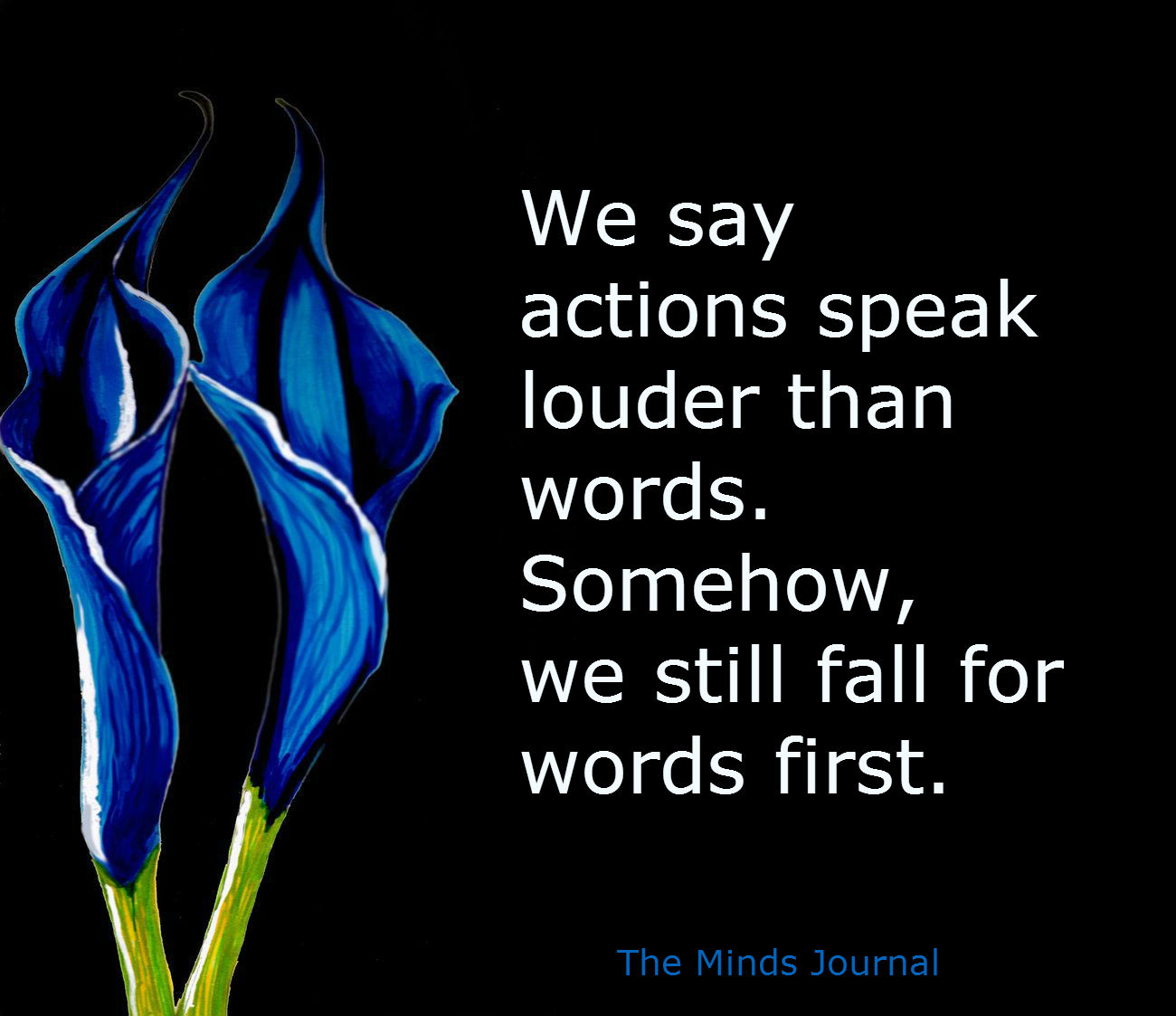 Actions Speak Louder Or Words?