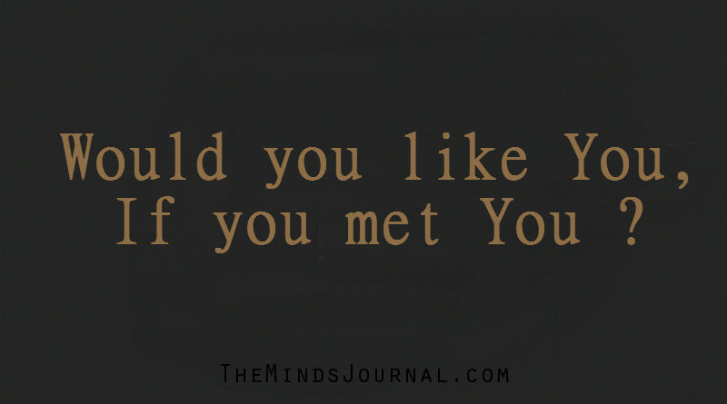 Would you like You, if you met You ?
