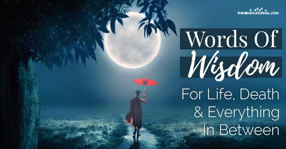 Words of Wisdom – For Life, Death, and Everything In Between