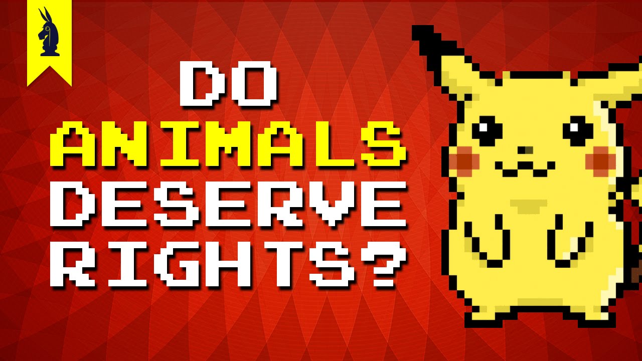Mind Video – Should Animals Have Human Rights ?