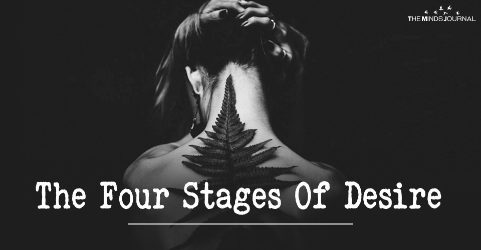 The Four Stages Of Desire : When Everything Boils Down To What You Seek