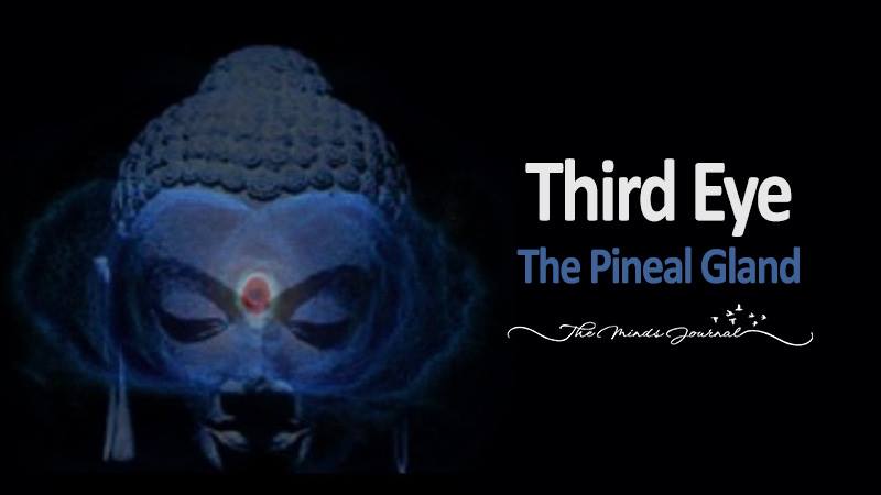 The Third Eye, The Pineal Gland – This Is A MUST Read!