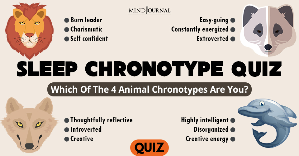 Bear, Dolphin, Wolf, Or Lion – Which of The 4 Animal Chronotypes are you? Chronotype Quiz