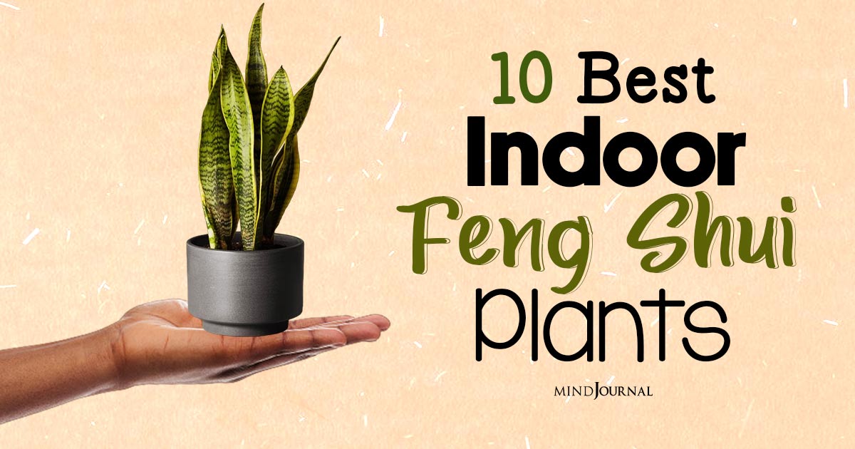 10 Best Indoor Feng Shui Plants: The Ultimate Guide To Harmonizing Your Space